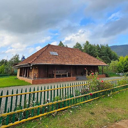 Nature Castle -Traditional Villa,Vattavada Kottakamboor Extérieur photo