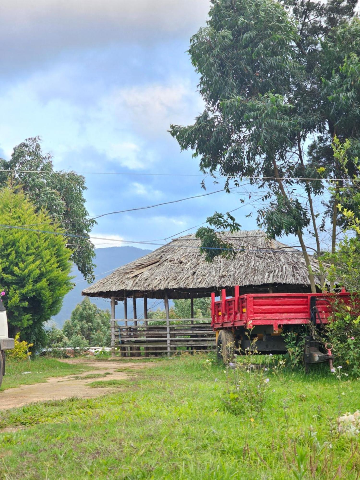 Nature Castle -Traditional Villa,Vattavada Kottakamboor Extérieur photo